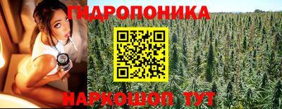 соль ск Обнинск