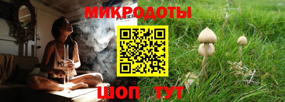 Топки  Галлюциногенные грибы Psilocybe  Псилоцибиновые грибы GOLDEN TEACHER  Вход с VPN 